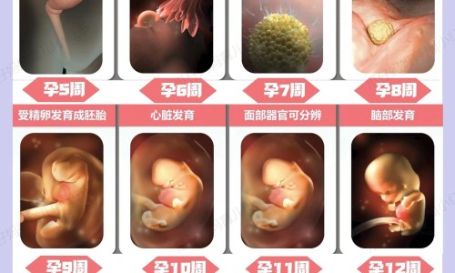 怀孕做家务会影响宝宝智力吗-孕妇家务做多了会怎样-怀孕做家务会影响宝宝吗,中国怀孕做家务会影响宝宝网站