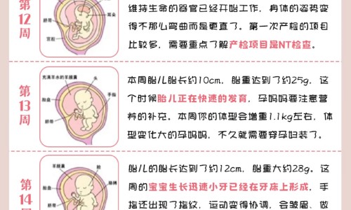 孕妇家务做多了会怎样-怀孕做家务会影响宝宝吗,中国怀孕做家务会影响宝宝网站