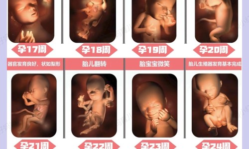怀孕做家务会影响宝宝智力吗-孕妇家务做多了会怎样-怀孕做家务会影响宝宝吗,中国怀孕做家务会影响宝宝网站